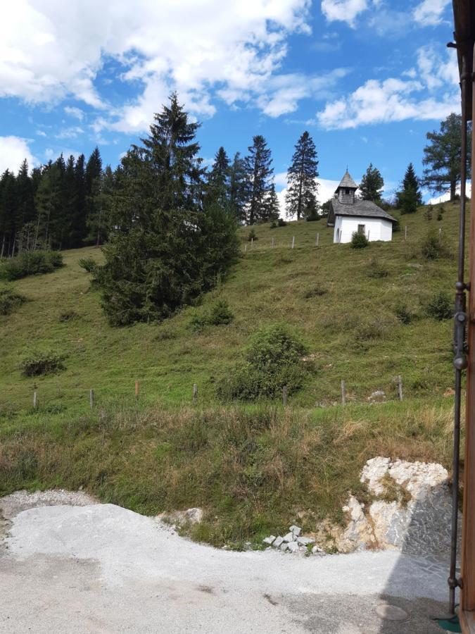 Sonnleit'N Zimmer 6 Abtenau Exteriér fotografie