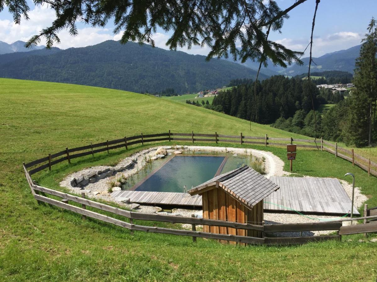 Sonnleit'N Zimmer 6 Abtenau Exteriér fotografie