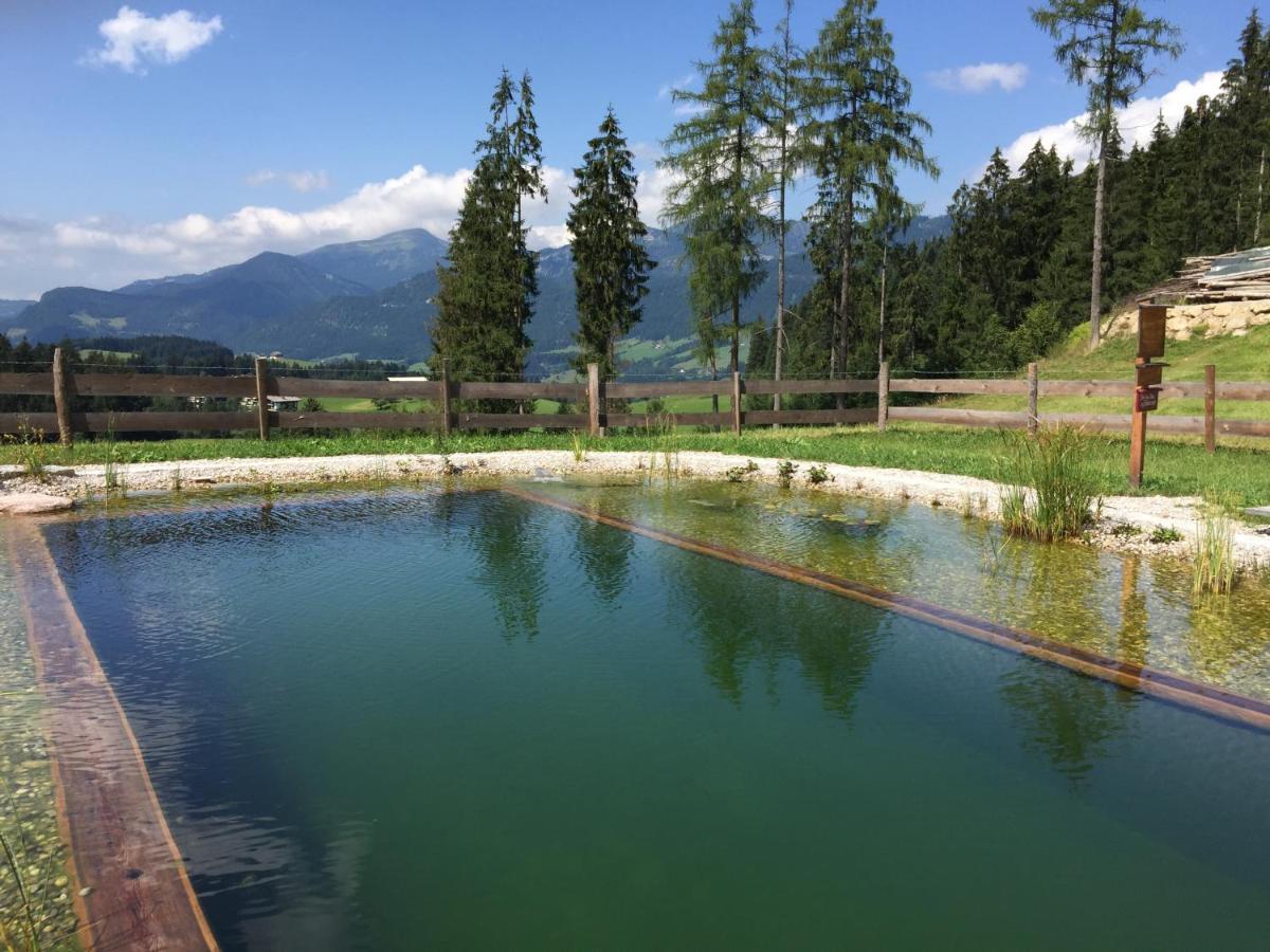 Sonnleit'N Zimmer 6 Abtenau Exteriér fotografie
