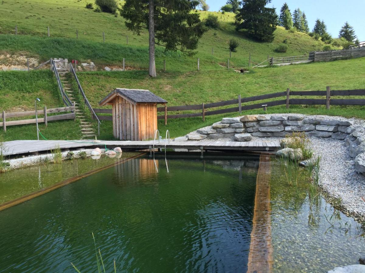Sonnleit'N Zimmer 6 Abtenau Exteriér fotografie