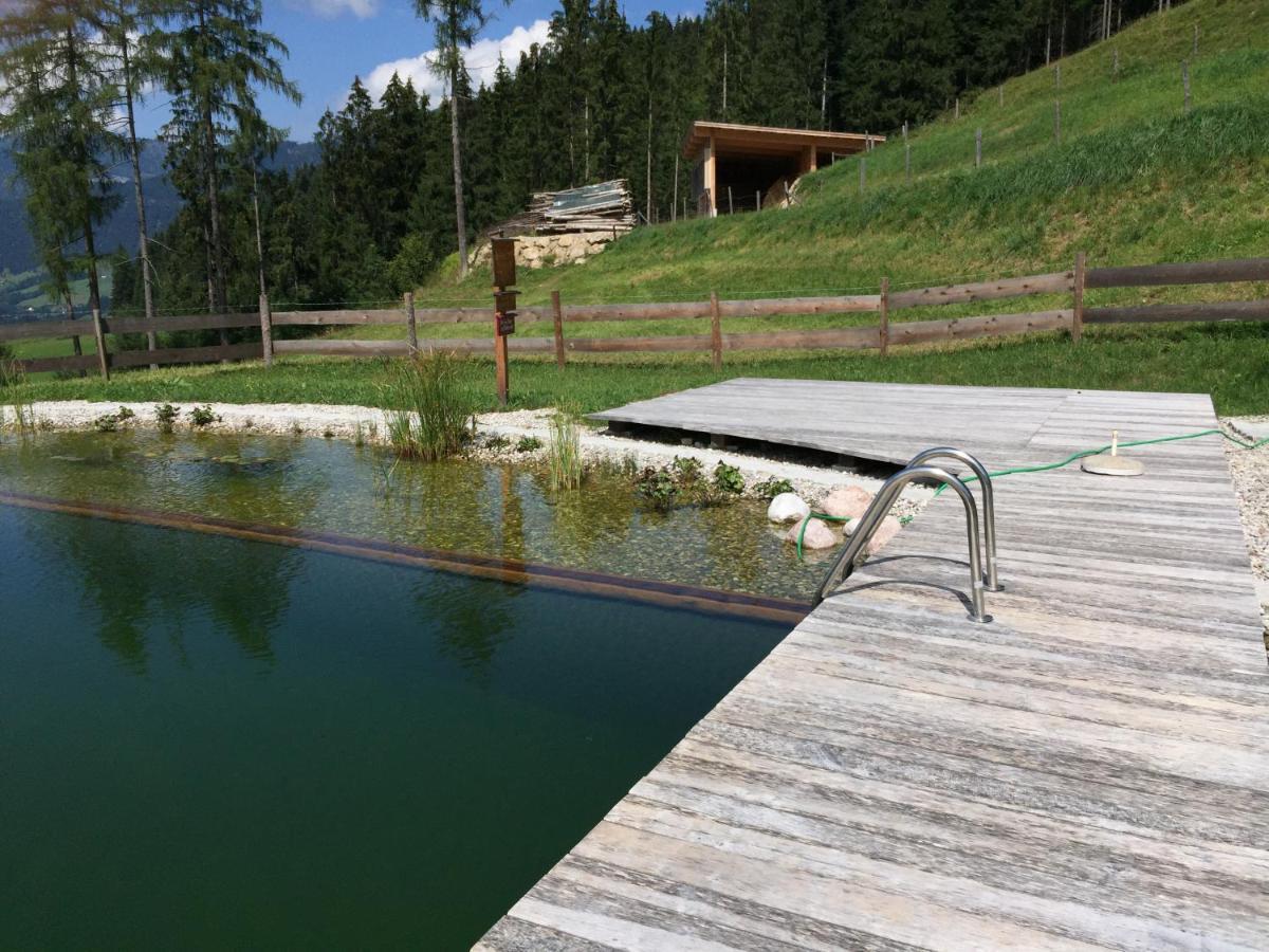 Sonnleit'N Zimmer 6 Abtenau Exteriér fotografie