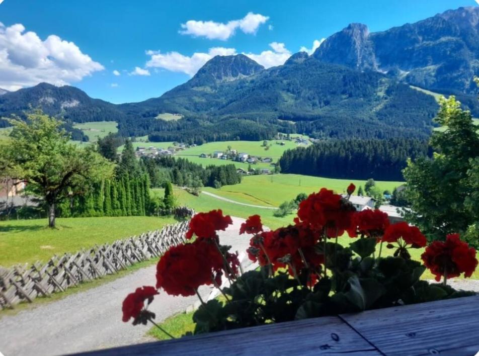 Sonnleit'N Zimmer 6 Abtenau Exteriér fotografie