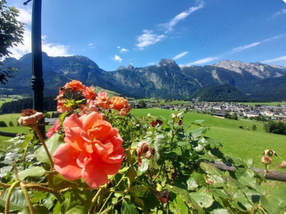 Sonnleit'N Zimmer 6 Abtenau Exteriér fotografie