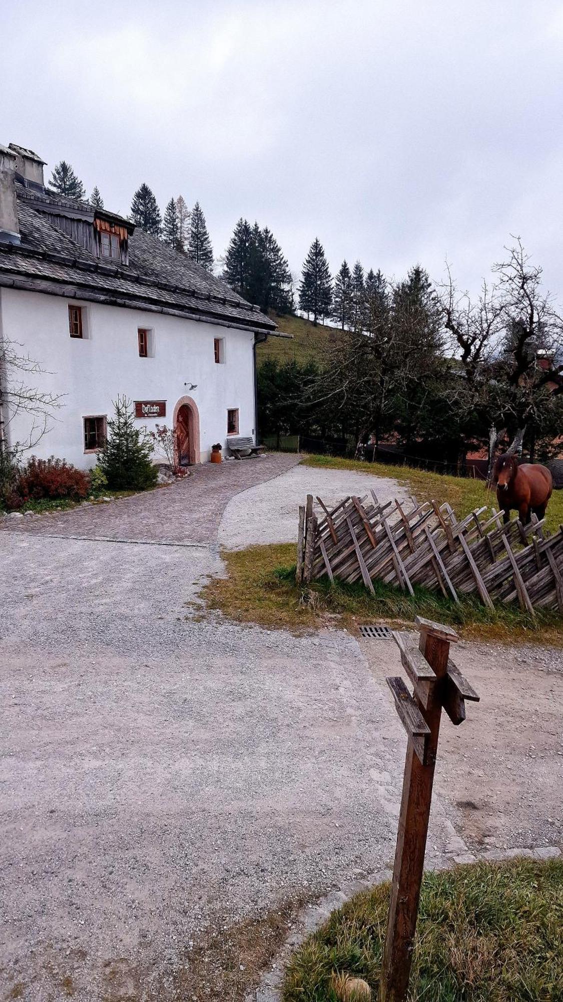 Sonnleit'N Zimmer 6 Abtenau Exteriér fotografie